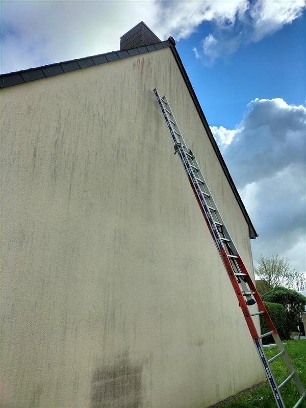 Grand pignon couvert de coulures grises et vertes, échelle appuyée contre le mur